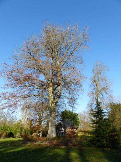 Chambre E Andre Le Domaine Des Jardins De Bracquetuit Exterior foto